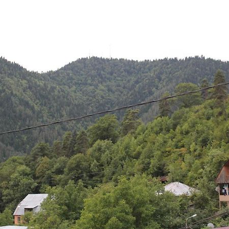 Hotel Mariko Bordżomi Zewnętrze zdjęcie