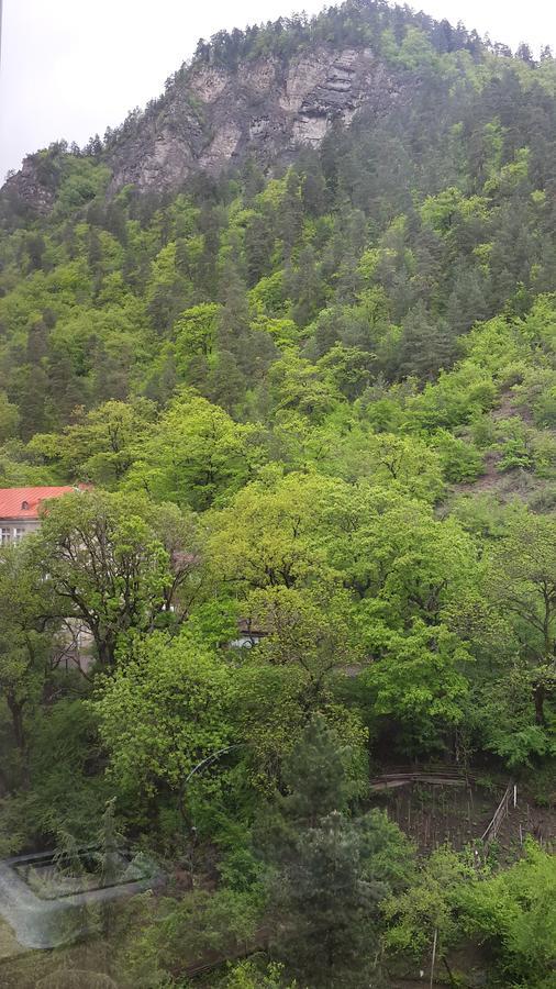 Hotel Mariko Bordżomi Zewnętrze zdjęcie