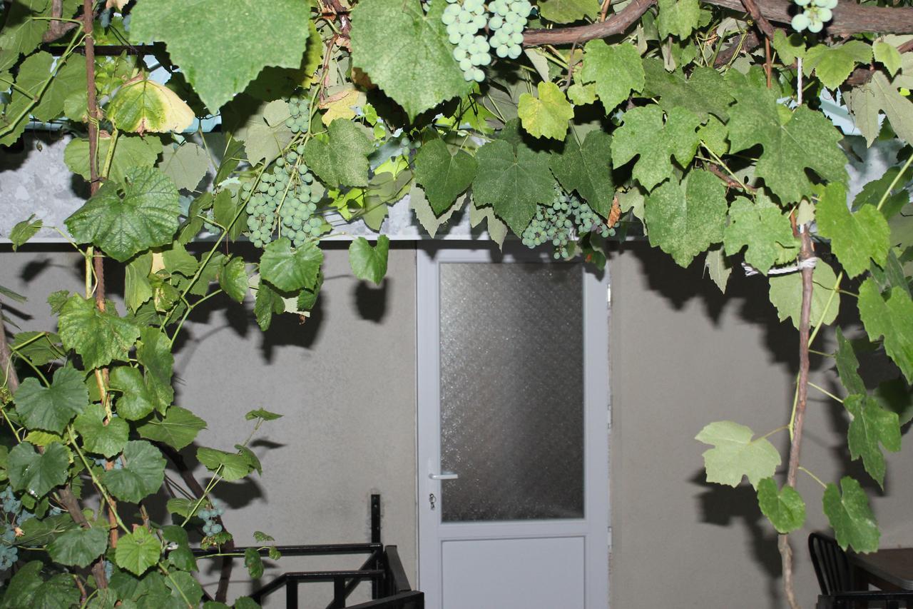 Hotel Mariko Bordżomi Zewnętrze zdjęcie